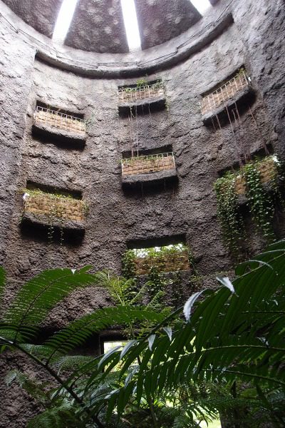 牧野植物園