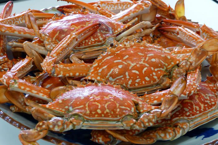 crab fish